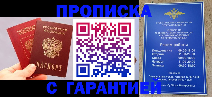 прописка паспорт в Кингисеппе